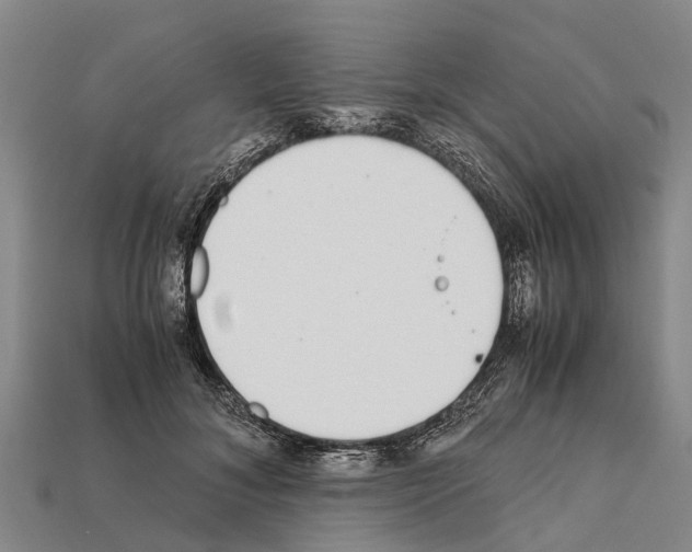 X0000111920700200909071218