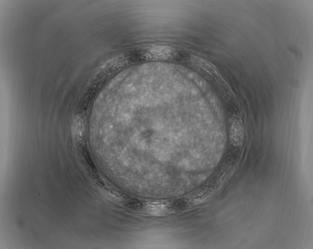 X0000111920701200909071218