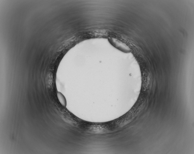 X0000111920704200909071217