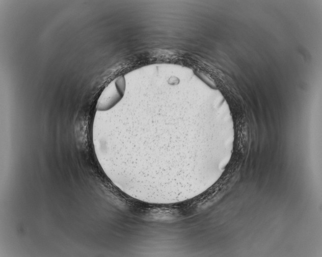 X0000111920708200909071217