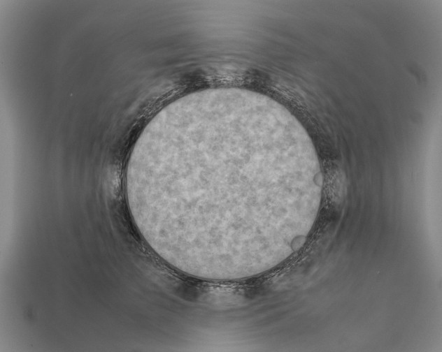 X0000111920709200909071217