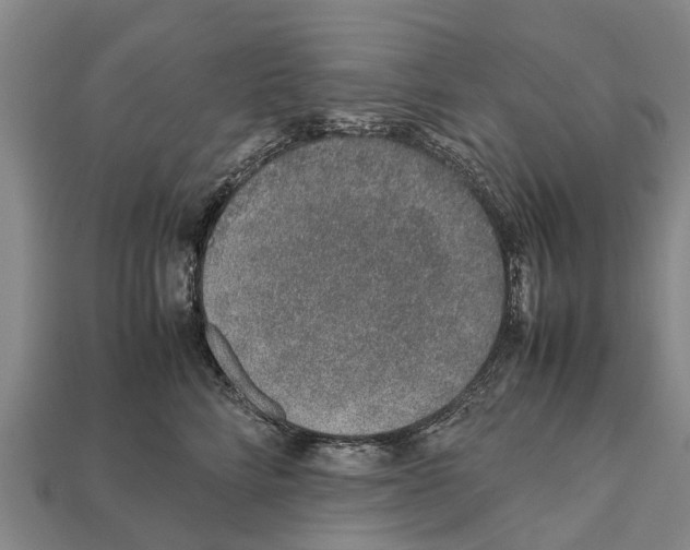 X0000111920712200909071217