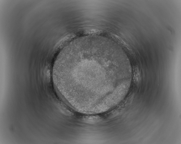 X0000111920716200909071217