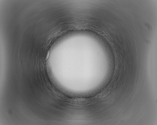 X0000111920720200909071217