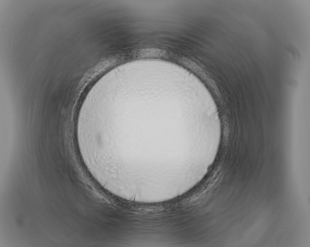 X0000111920721200909071217