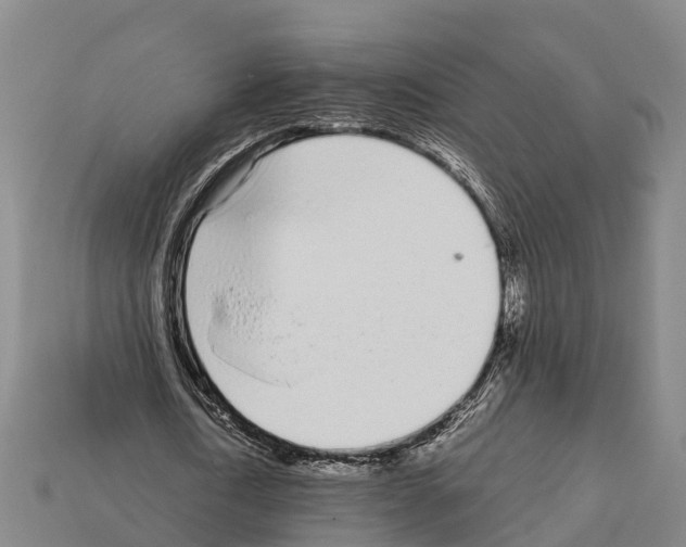 X0000111920722200909071217