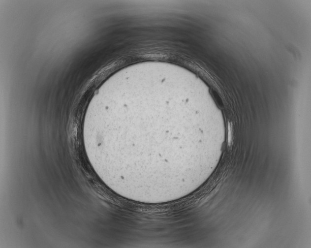 X0000111920723200909071217