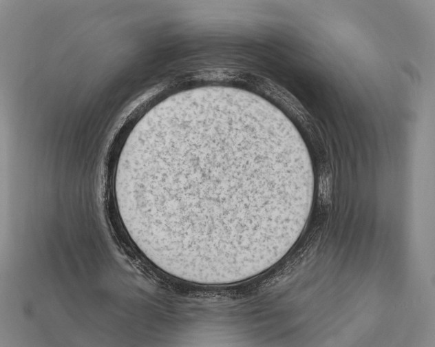 X0000111920724200909071217