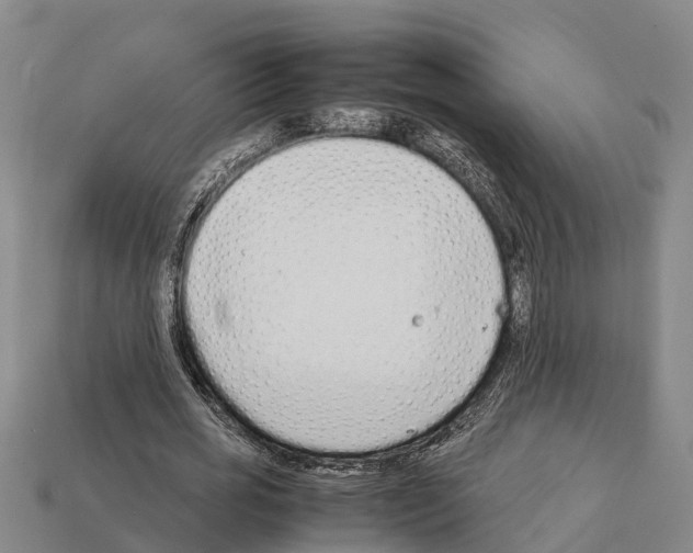 X0000111920725200909071217