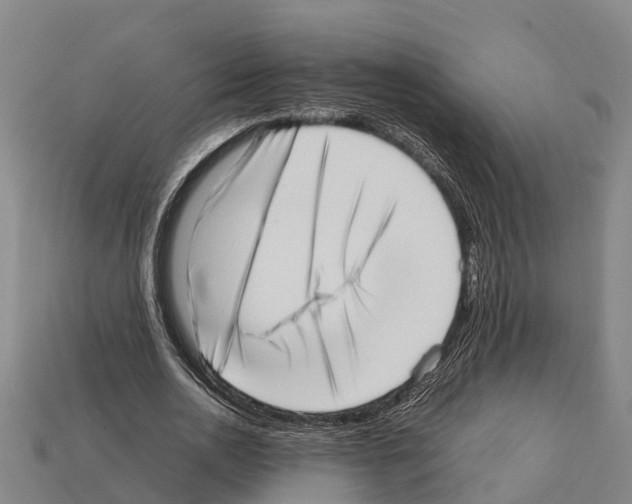 X0000111920726200909071217