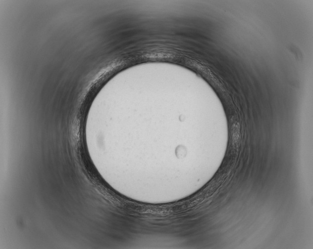 X0000111920727200909071217