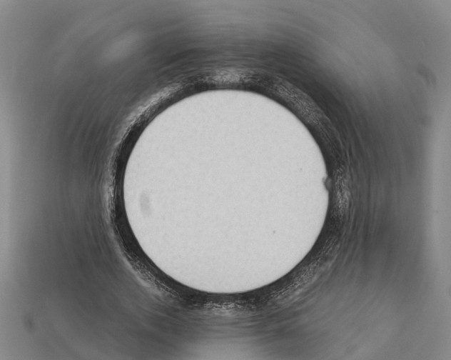 X0000111920728200909071217