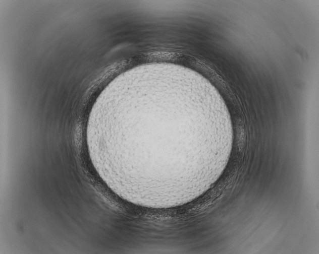 X0000111920729200909071217