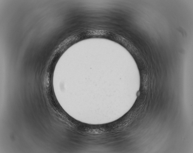 X0000111920731200909071217