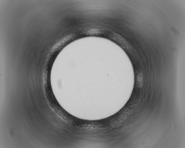 X0000111920732200909071217