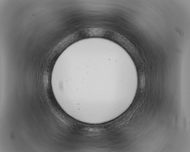 X0000111920733200909071217