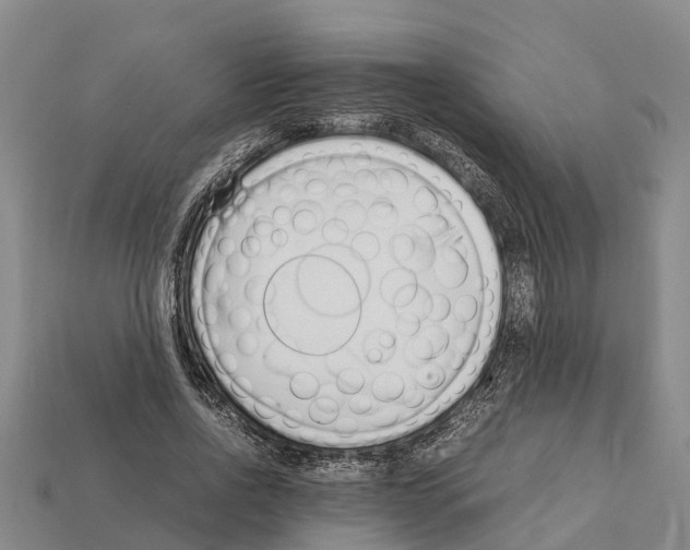 X0000111920734200909071217