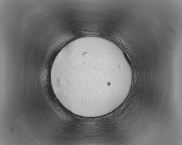 X0000111920735200909071217