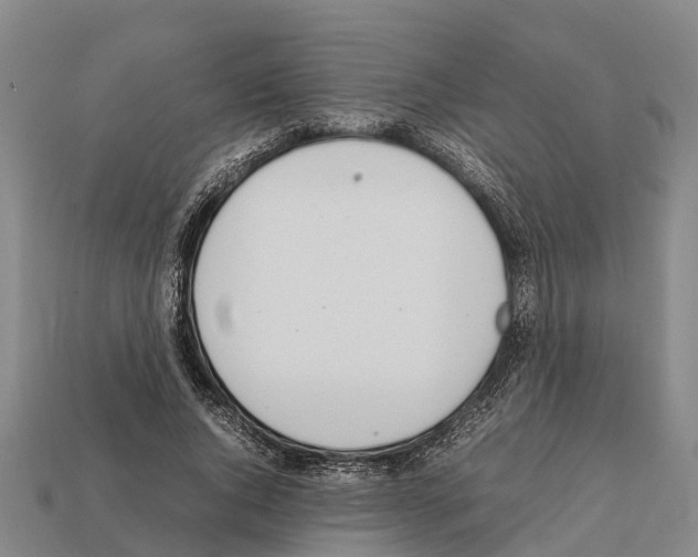 X0000111920736200909071217