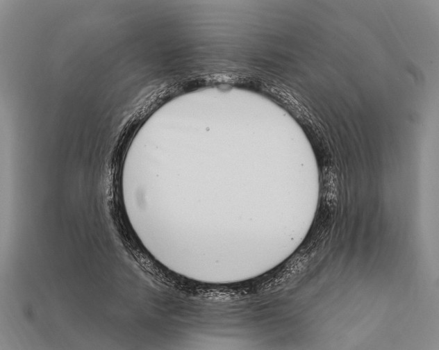 X0000111920738200909071217