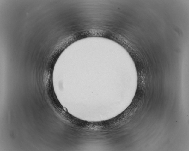 X0000111920742200909071217