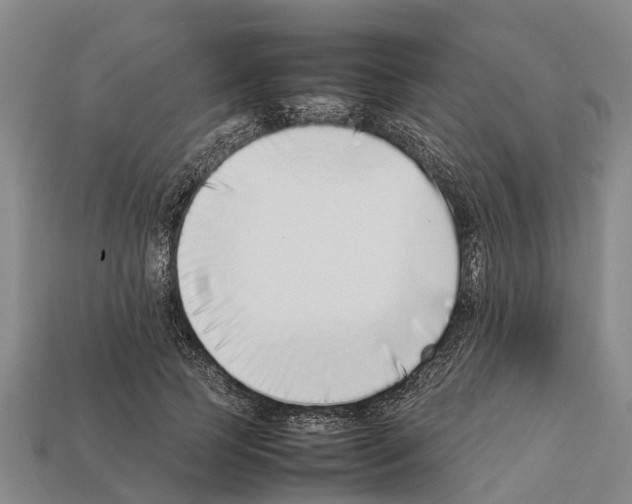 X0000111920745200909071217