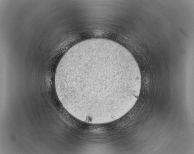 X0000111920746200909071217