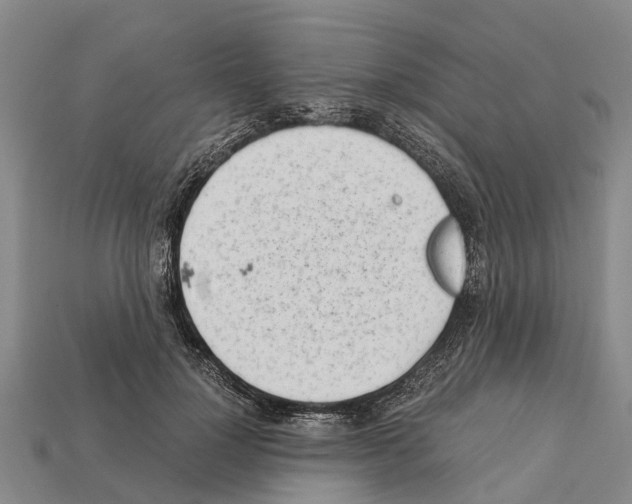 X0000111920748200909071217