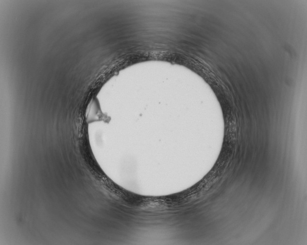 X0000111920750200909071217