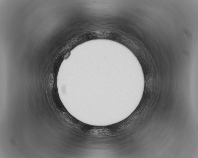 X0000111920752200909071217