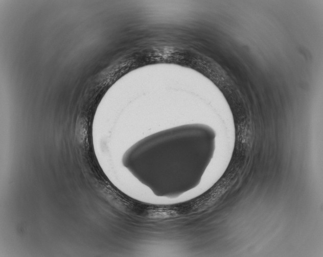 X0000111920754200909071217