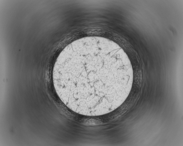 X0000111920755200909071217