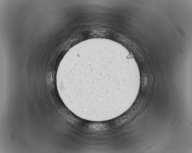 X0000111920759200909071217