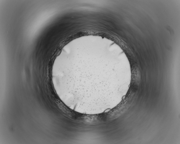 X0000111920762200909071217