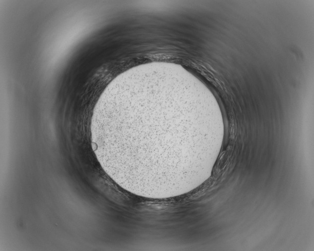 X0000111920763200909071217