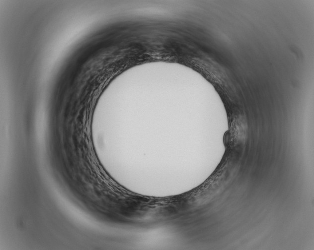 X0000111920764200909071217