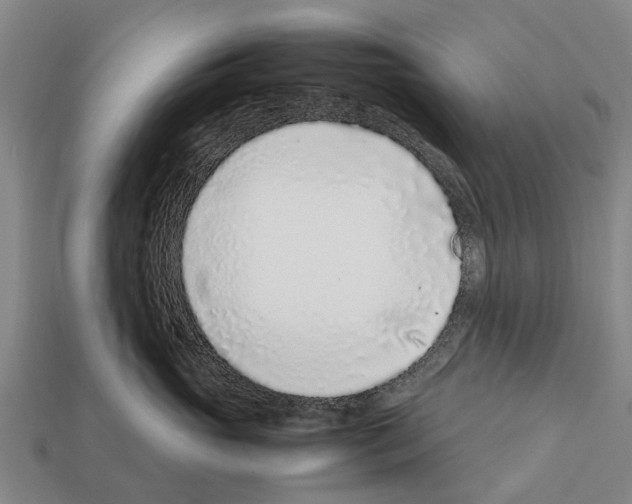 X0000111920765200909071217