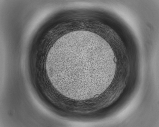 X0000111920766200909071217