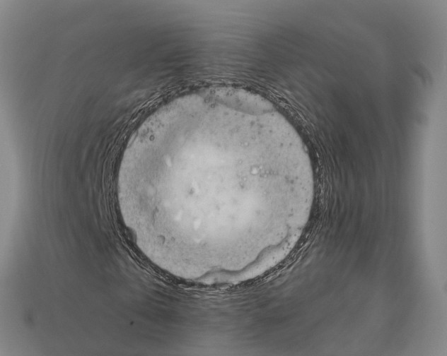 X0000111920769200909071217