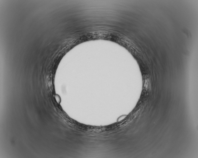 X0000111920771200909071217