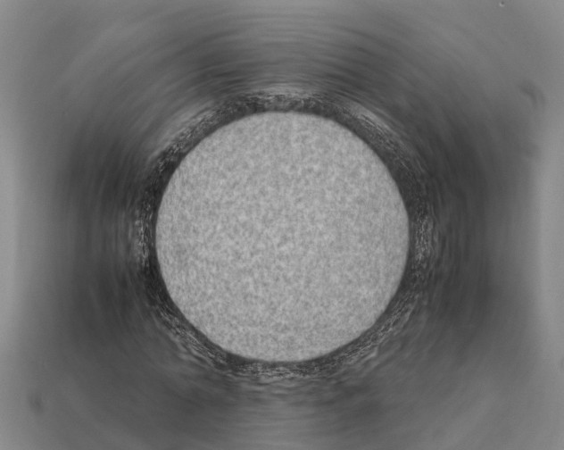 X0000111920774200909071217