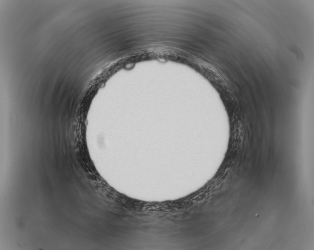 X0000111920776200909071217