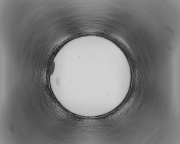 X0000111920777200909071217