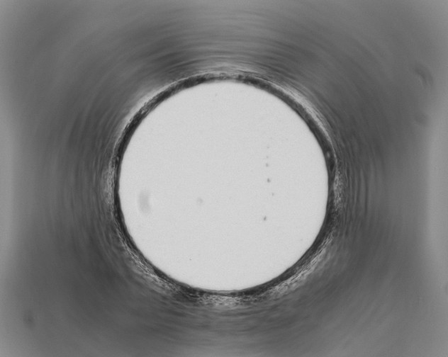 X0000111920783200909071216