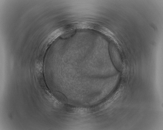 X0000111920785200909071216