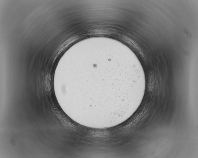 X0000111920786200909071216