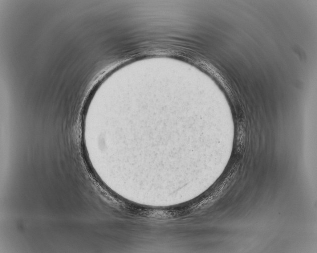 X0000111920787200909071216