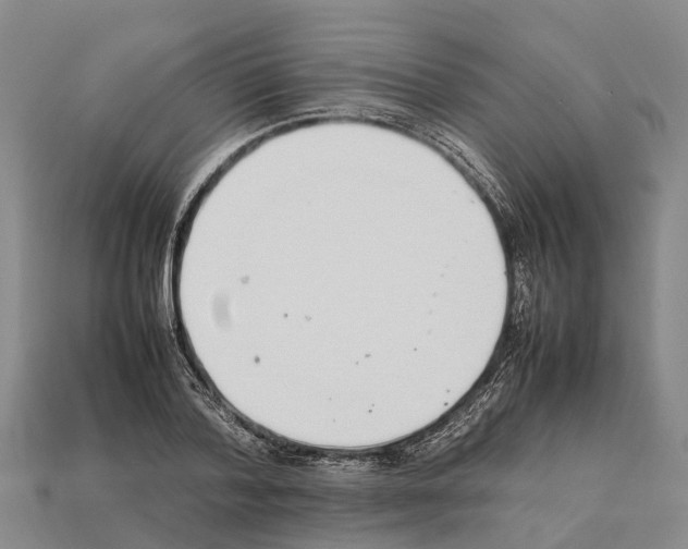 X0000111920788200909071216