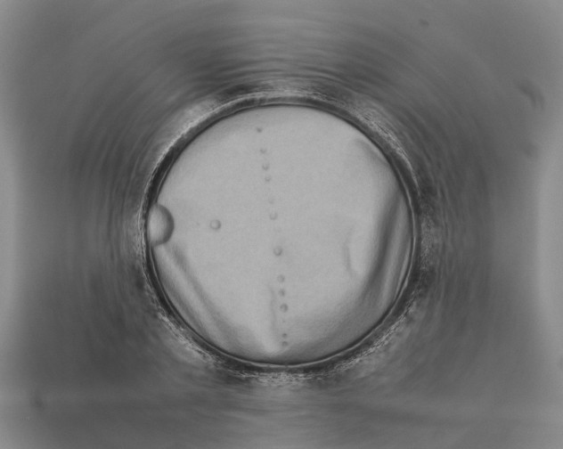 X0000111920789200909071216