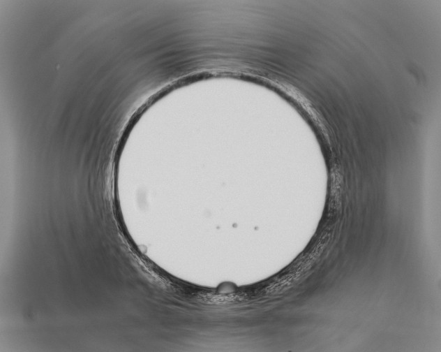 X0000111920791200909071216